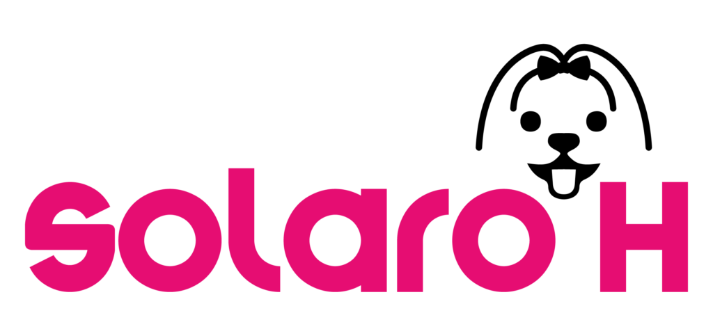 LOGO SOLAROH colore