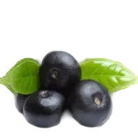 acai 200x200 1
