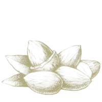 almendra organics 200x200 1 200x200 1