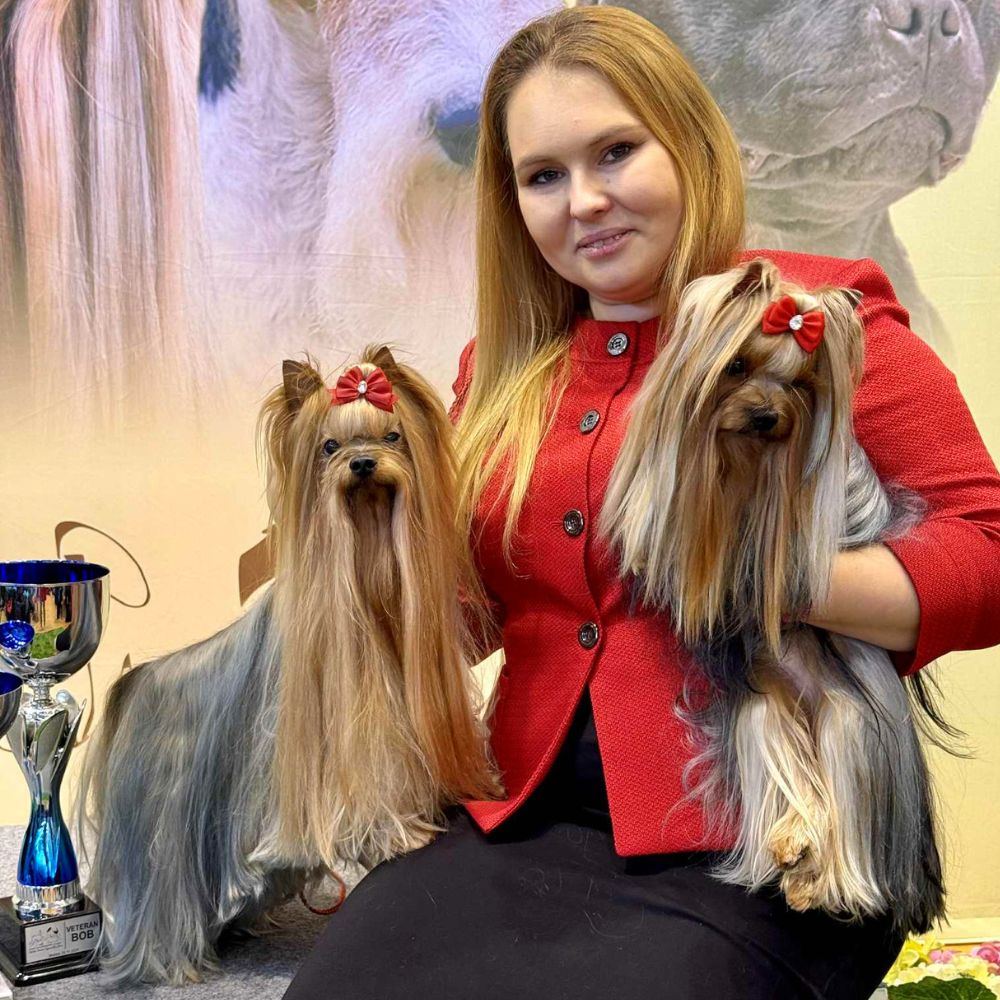 Mnenja Natalia 1