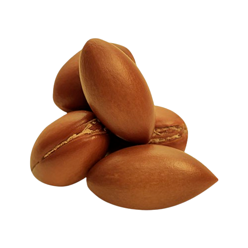 argan seed removebg preview