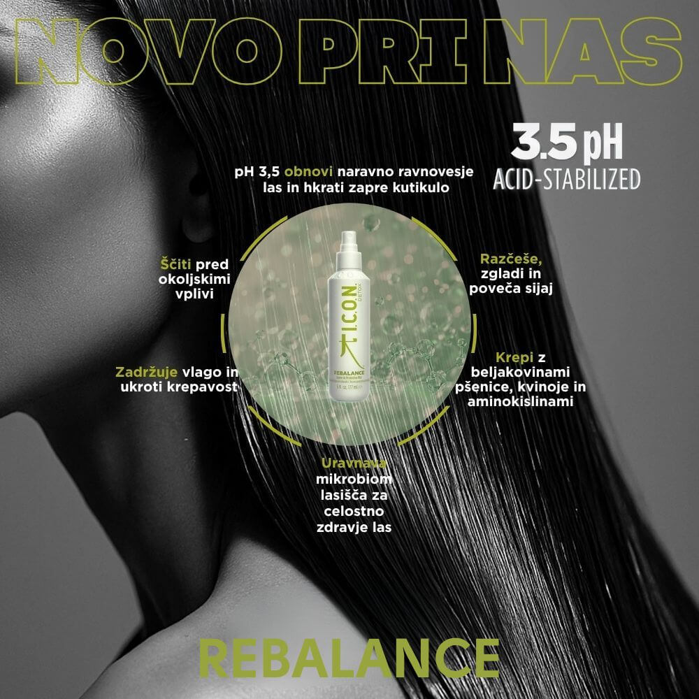 1502 Rebalance novo 1
